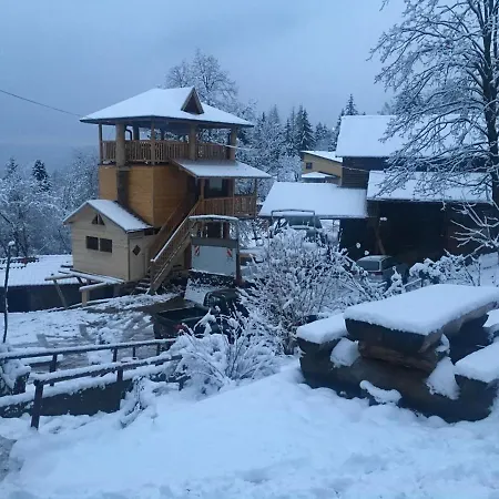 Inn Tree House
